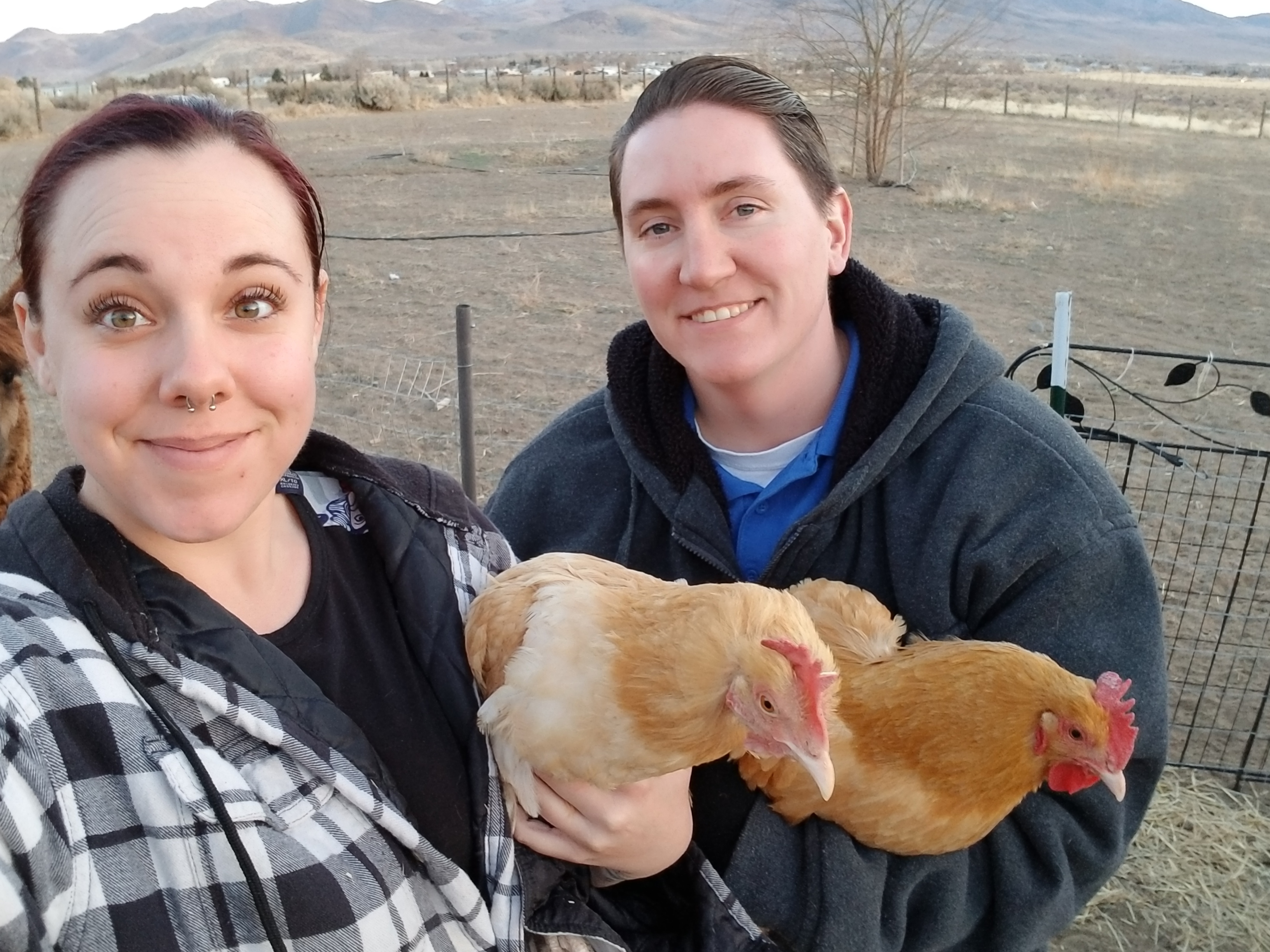 Day in the life of a Real Homestead Wife: Our Origin Story – Smee Acres ...